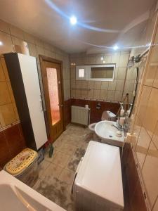 a small bathroom with a sink and a toilet at Apartament Gabriela in Vulcan