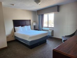 a hotel room with a bed and a window at Ashley Quarters Hotel Airport-Cincinnati in Florence +36 photos