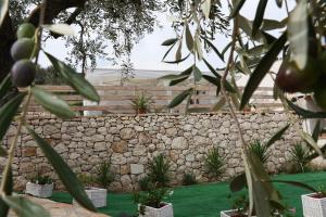 A garden outside Casa Sole Mare