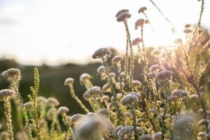 Φωτογραφία από το άλμπουμ του Storm's Hollow - Forest Cabin σε Wittedrif