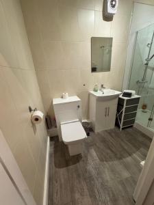 a bathroom with a toilet and a sink at Omega Apartment - 3 Bedrooms - Sleeps 5 in Whitehaven +24 photos