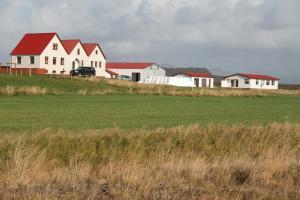 a group of houses in a field next to a grass field at Snorrastadir Farm Holidays in Borgarnes