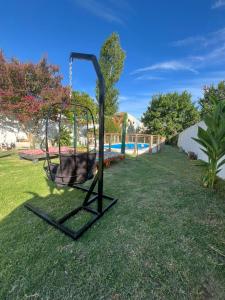 un perro sentado en un columpio en un patio en La quinta de Gaby, en La Plata