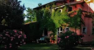 A garden outside Podere L'Olmaia