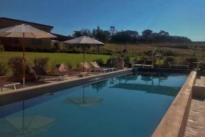 The swimming pool at or close to Podere L'Olmaia
