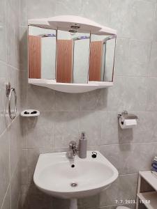 Koupelna v ubytování Apartment Slaven