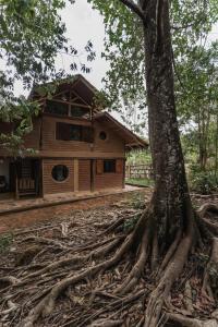 Budova, kde se prázdninový dům nachází