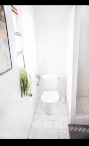 a white bathroom with a toilet and a window at Stáj Newport in Dolní Domaslavice +12 photos