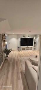 TV a/nebo společenská místnost v ubytování City Serenity Suite