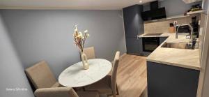 Kuchyň nebo kuchyňský kout v ubytování City Serenity Suite
