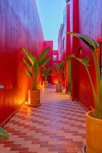 Fotografie z fotogalerie ubytování Casona Quetzal v destinaci Guadalajara