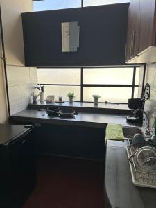 Cucina o angolo cottura di Apart-Hotel "El Lago"