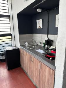 Cucina o angolo cottura di Apart-Hotel "El Lago"