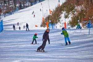 Gallery image of Domki na Górce in Wierchomla Mała