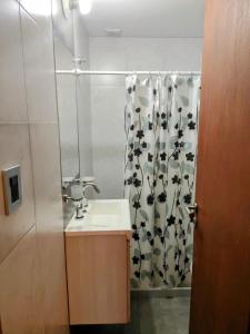 Un baño con lavabo y cortina de ducha. en Excelente departamento barrio constituyentes, en Santa Fe