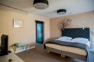 a bedroom with a bed with a blue headboard at Braun Rooms Deluxe in Sopron