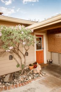 a house with a tree in the front yard at 1 BR Orchard Cottage - Gateway to Two National Parks! in Visalia