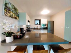 Kuchyň nebo kuchyňský kout v ubytování TAHITI - Carlton Hills Appartment