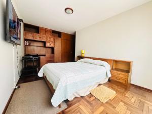 Μια τηλεόραση ή/και κέντρο ψυχαγωγίας στο Arequipa Great Mini Apartment