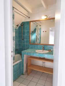 a bathroom with a sink and a mirror at Chez Madeline in Le Gosier +13 photos
