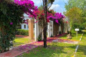 Κήπος έξω από το Suites Privadas en Quinta Friland