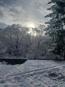 a snow covered field with trees and a river at Riverside in Slavske
