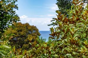 a view of the ocean from behind some trees at Seaview Dromana - where the mountain meets the sea in Dromana