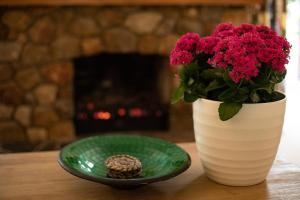 a white vase with pink flowers next to a green plate at Mountain Bike Manor in Rotorua