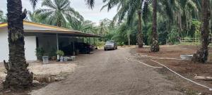 a car parked next to a house with palm trees at กัลณภัทรรีสอร์ท in Krabi