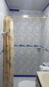 Un baño con cortina de ducha y un inodoro. en Apartamento #4, en Puerto Colombia
