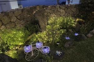 One fine day Jeju Poolvilla外面的花园