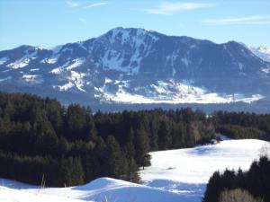 einen schneebedeckten Berg inmitten eines Waldes in der Unterkunft Haus Ritter in Missen-Wilhams