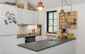 a kitchen with a refrigerator and a sink at Nice Home In Sjællands Odde With Wifi in Yderby