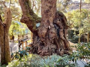 Een tuin van #熱海古民家 #来宮神社 バーベキュー温泉