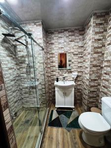 a bathroom with a shower and a toilet and a sink at New Gudauri Redco Loft 1 in Gudauri