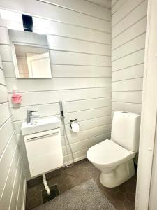 a bathroom with a toilet and a sink at Himos Alahonka A in Jämsä