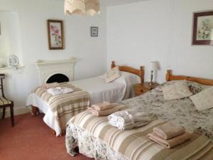 A bed or beds in a room at Exmoor Owl & Hawk Centre 