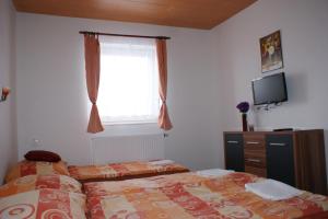 a bedroom with a bed and a tv and a window at Apartmá Lipno in Horní Planá