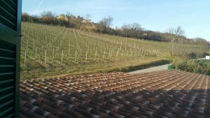 Kép Le Vigne di Clementina Fabi szállásáról Montedinovéban a galériában