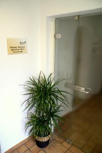 a plant sitting in front of a glass door at Pension Lindenhof in Limburg an der Lahn