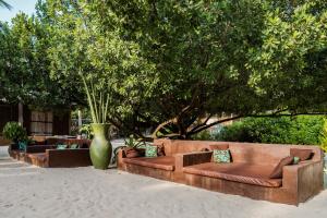 Ein Garten an der Unterkunft Mwezi Boutique Resort
