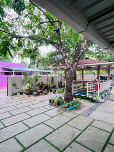 Zahrada ubytování Orchid Home Stay + 13 fotografií
