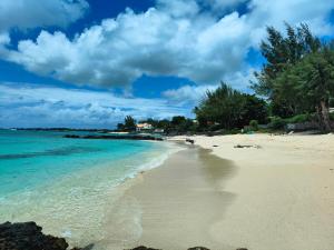 Appartement Pte aux Canonniers في بوانت أو كانونيرس: شاطئ رملي مع المحيط وأشجار عليه