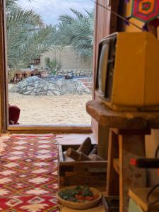 a view of a beach from a room with a tv at TATRABENT - Eco Friendly retreat in Siwa in Siwa +165 photos