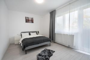 a bedroom with a bed and a large window at Casa Magurele 1 in Măgurele