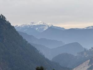 Afbeelding uit fotogalerij van The Badasu Cottages in Phata +37 foto's