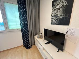 TV a/nebo společenská místnost v ubytování Daianas Corner