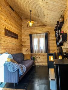 a living room with a couch in a wooden room at Elysium House in Băile Herculane +32 photos