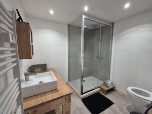 a bathroom with a shower and a sink and a toilet at La Masure Magnifique chalet - proche domaine St Foy in Sainte-Foy-Tarentaise +15 photos