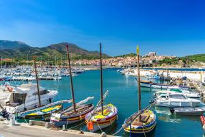 a bunch of boats are docked in a harbor at Appart 2 pièces 4 couchages BANYULS SUR MER BN260-100 in Banyuls-sur-Mer
